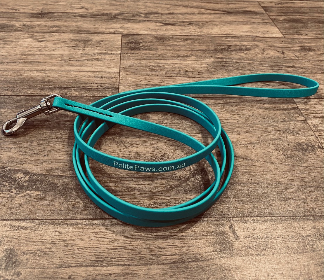 6ft Teal Biothane Training Lead - Small Stainless Steel Snap - Click Image to Close